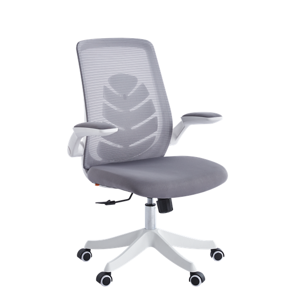 Офисное кресло Chairman CH565 белый пластик, серый