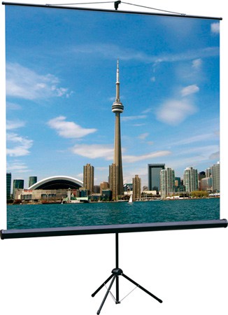 Экран на треноге Lumien 111" 200x200см Eco View LEV-100103 1:1 напольный рулонный