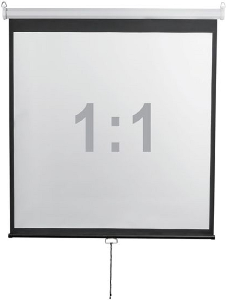Экран Digis 112" 200x200см Optimal-D DSOD-1105 1:1 настенно-потолочный рулонный