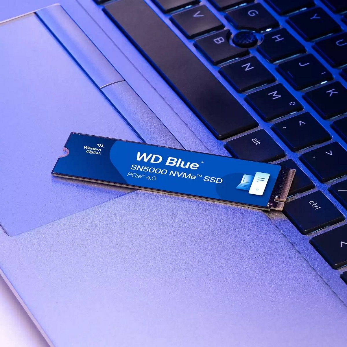 Накопитель SSD WD PCIe 4.0 x4 500GB WDS500G4B0E SN5000 Blue M.2 2280
