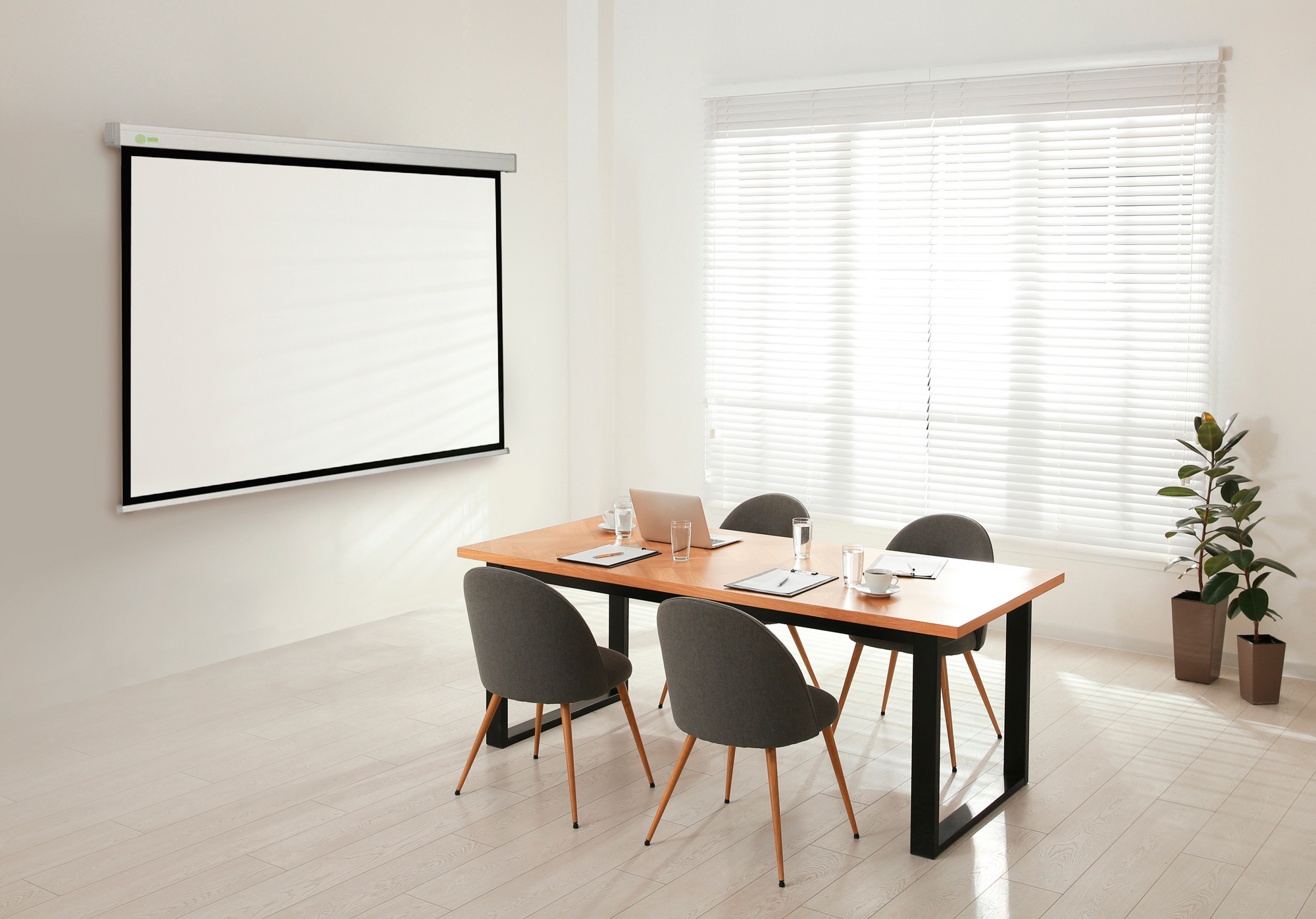 Экран Cactus 135" 168x299см Wallscreen CS-PSW-168x299 16:9 настенно-потолочный рулонный белый