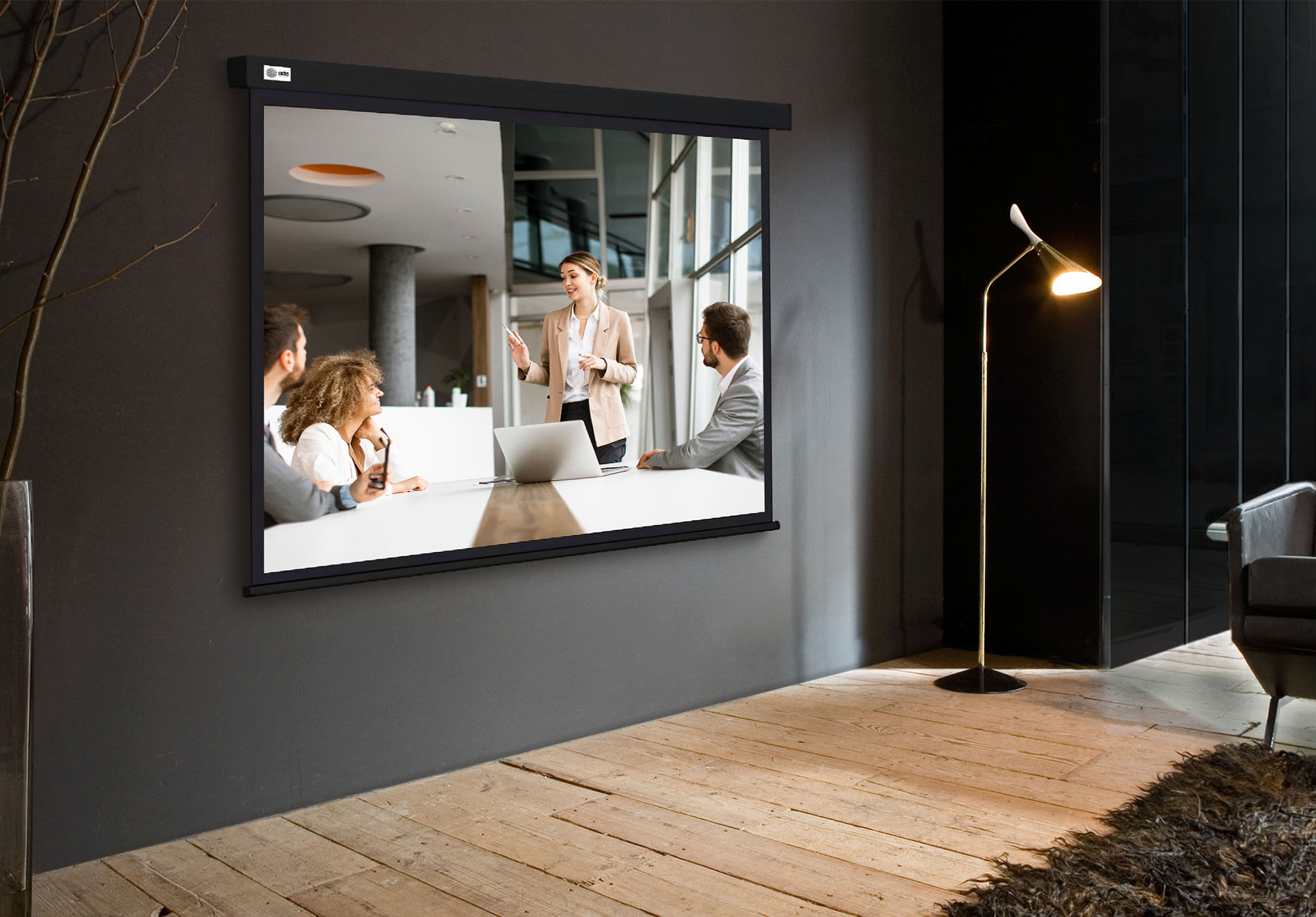 Экран Cactus 135" 168x299см Wallscreen CS-PSW-168X299-BK 16:9 настенно-потолочный рулонный черный