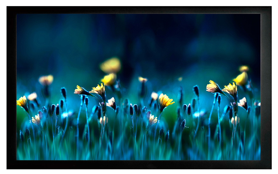 Экран на раме Cactus 90" 113x200см FrameExpert CS-PSFRE-200X113 16:9 настенный натяжной