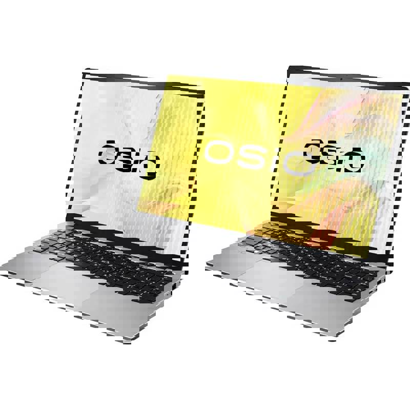 Ноутбук OSIO FocusLine F150a-017