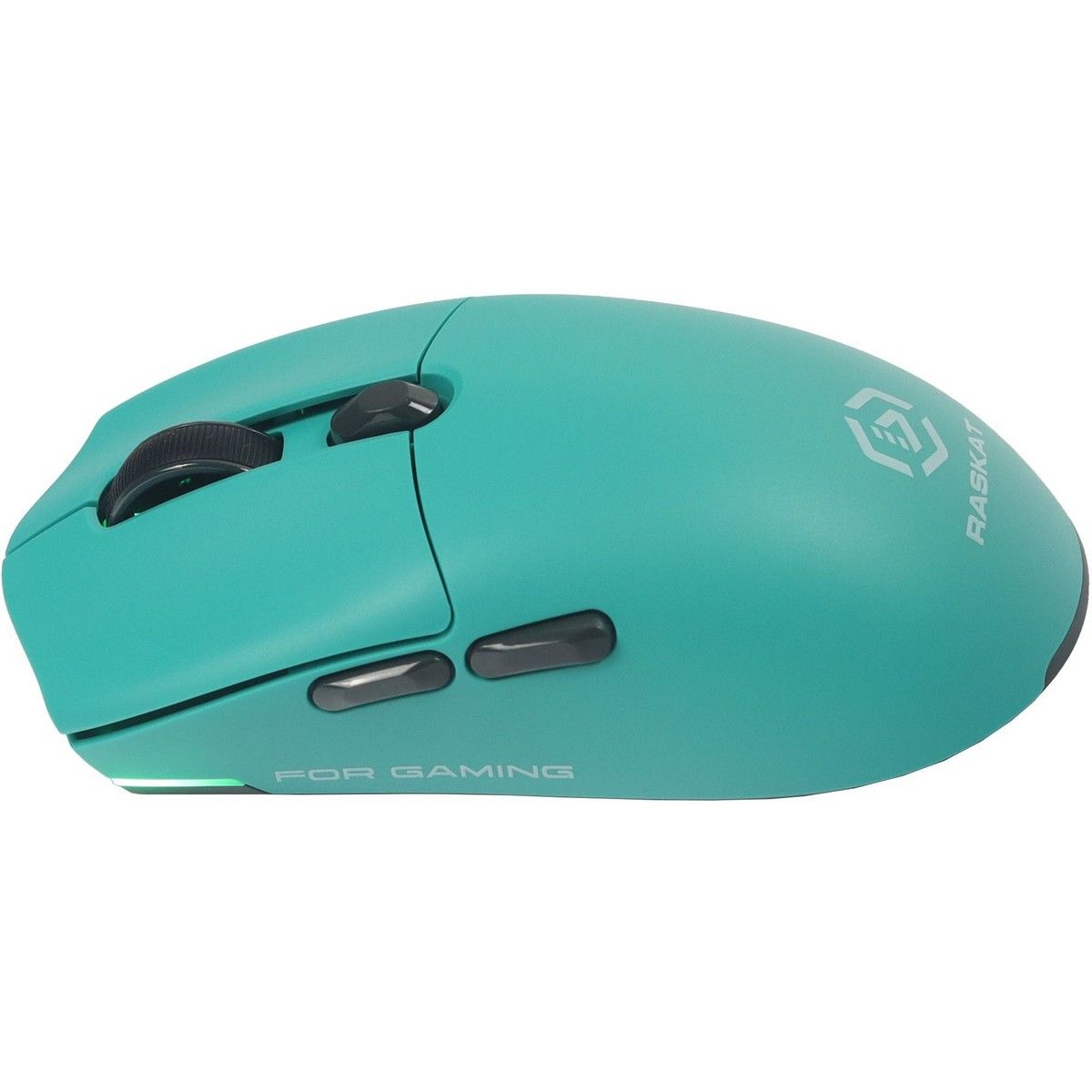 Мышь Raskat MG006TR