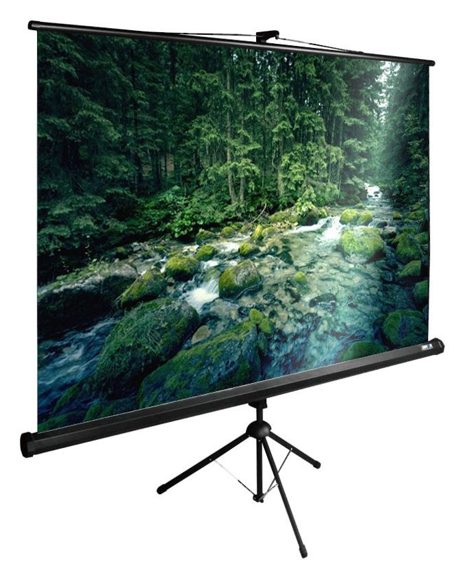 Экран Cactus 108" 165x220см TriExpert CS-PSTE-220x165-BK 4:3 напольный рулонный черный