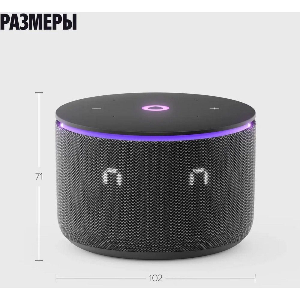 Умная колонка Yandex Станция Мини 3 Про Алиса черный 18W 2.0 BT/Wi-Fi (YNDX-00059BLK)