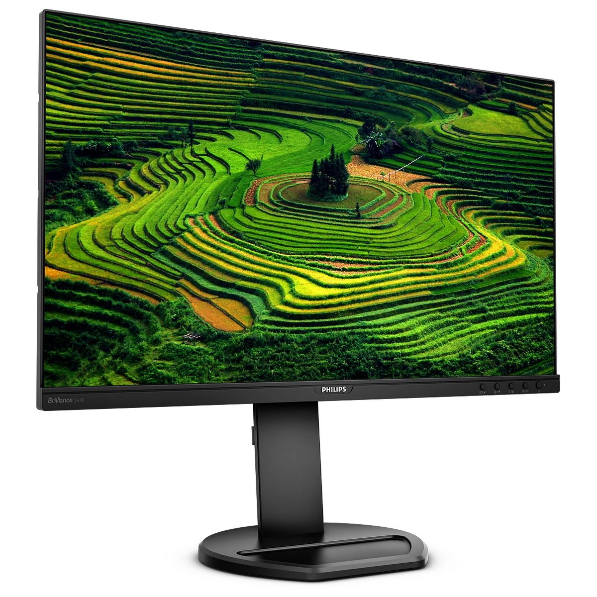 Монитор Philips 23.8" 241B8QJEB (00/01) черный IPS LED 16:9 DVI HDMI M/M матовая HAS Piv 1000:1 250c