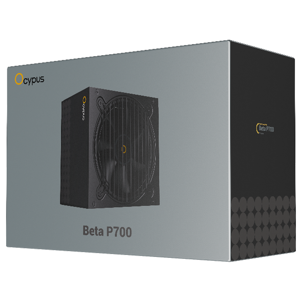 Блок питания Ocypus Beta P700, 700W, APFC, 120mm Fan (P700-N)