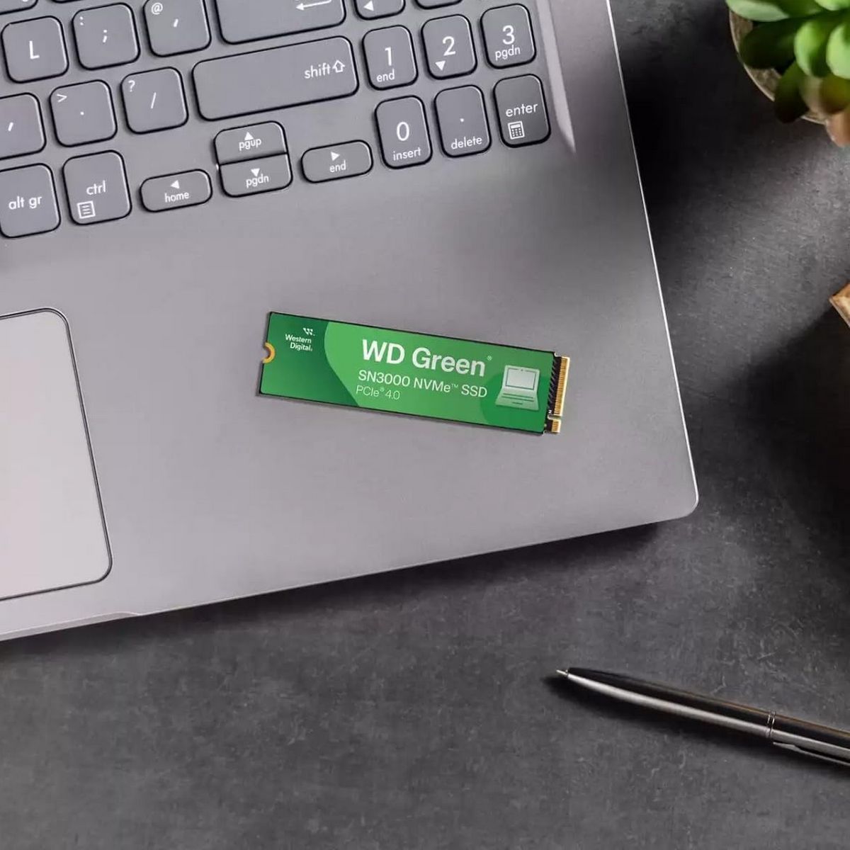 Накопитель SSD WD PCIe 4.0 x4 1TB WDS100T4G0E SN3000 Green M.2 2280