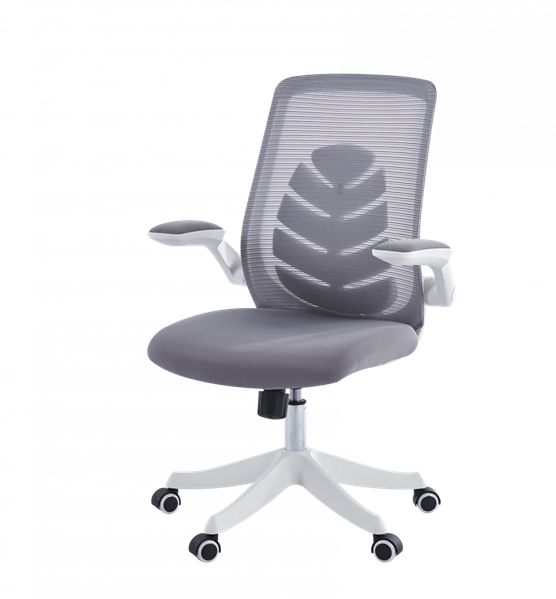 Офисное кресло Chairman CH565 белый пластик, серый