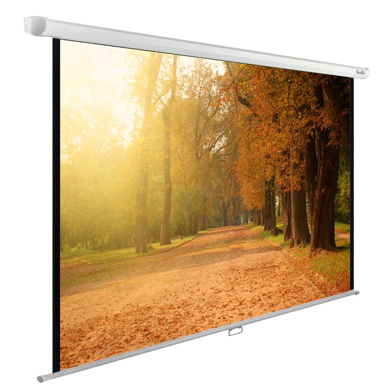 Экран Cactus 93" 125x200см WallExpert CS-PSWE-200x125-WT 16:10 настенно-потолочный рулонный
