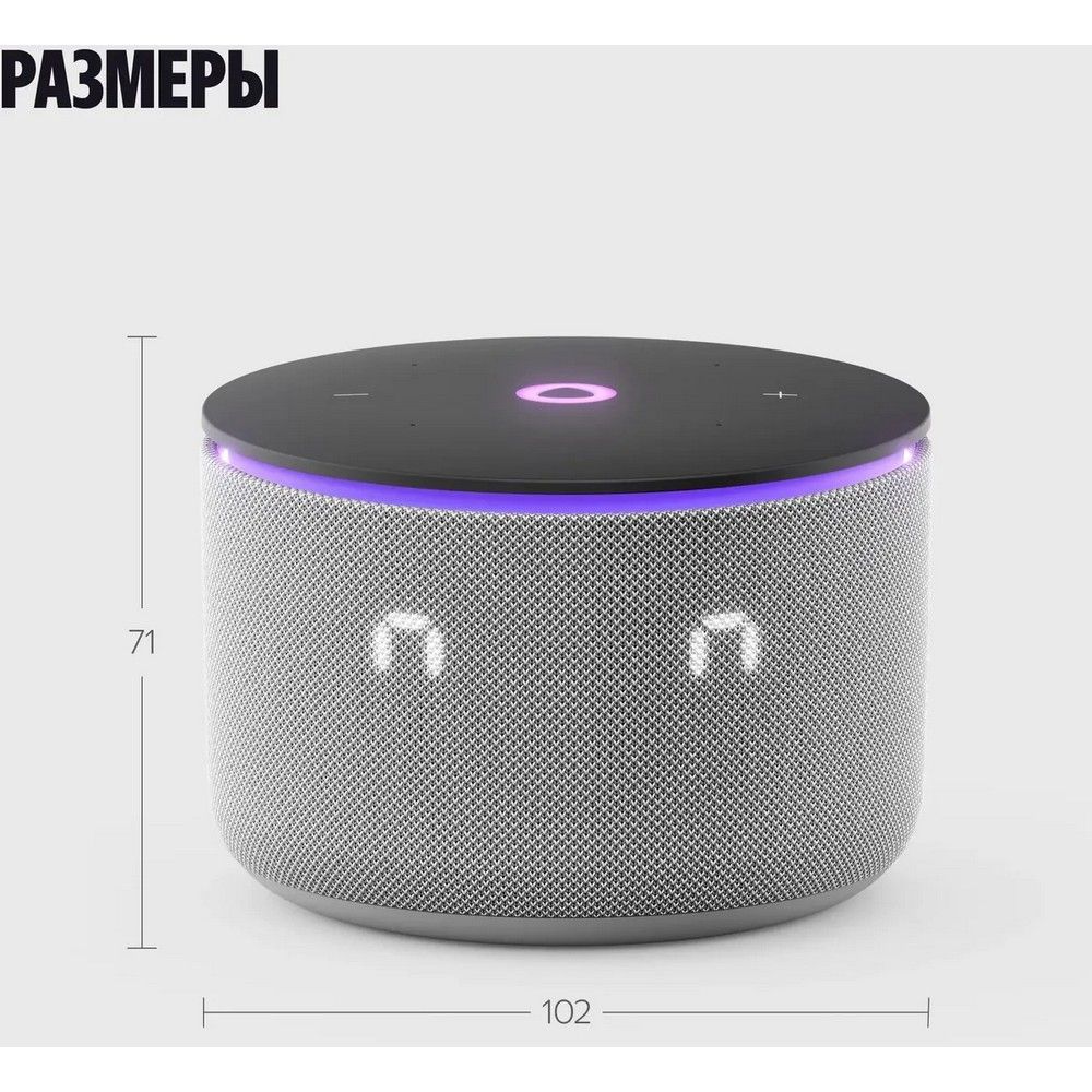 Умная колонка Yandex Станция Мини 3 Про Алиса серый 18W 2.0 BT/Wi-Fi (YNDX-00059GRY)