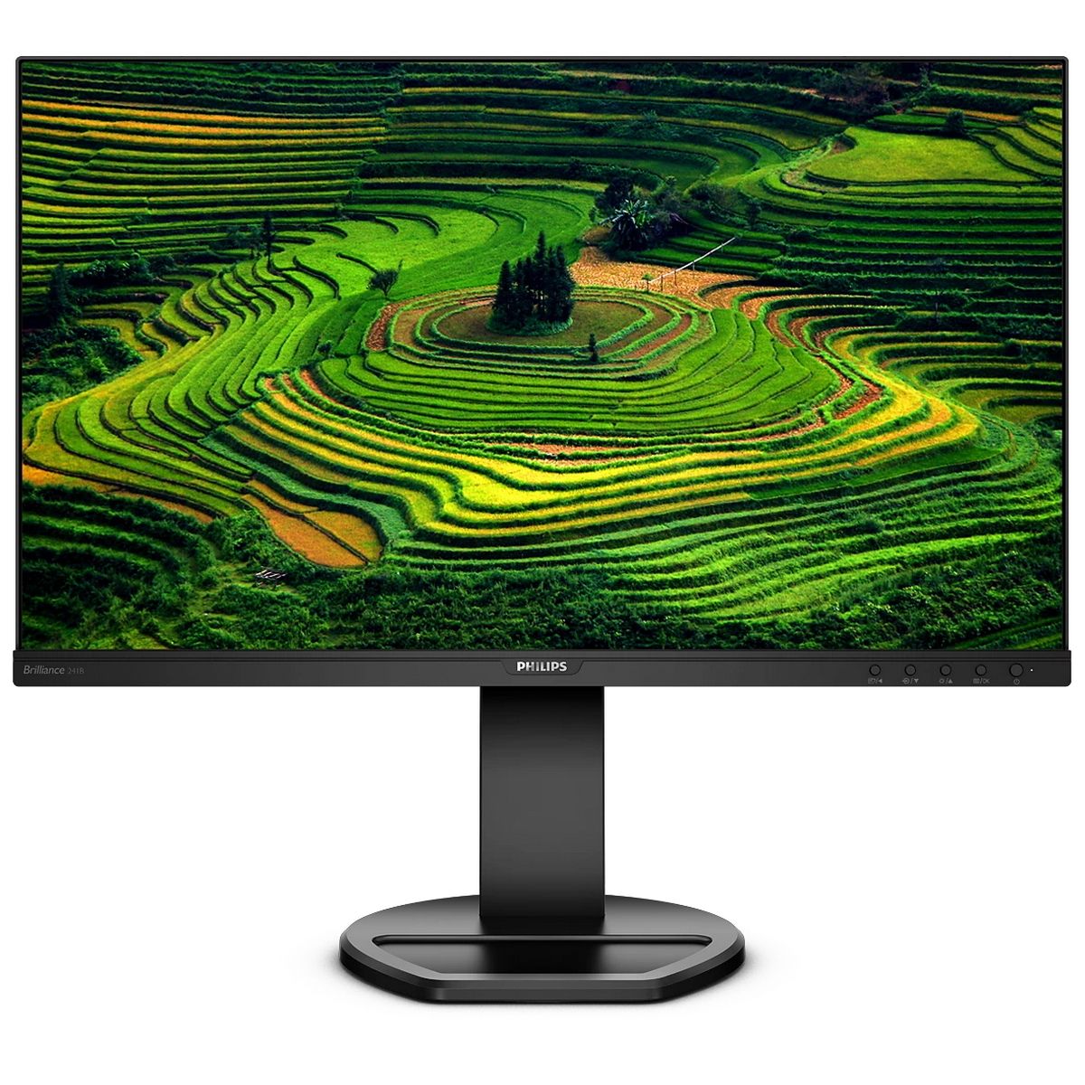 Монитор Philips 23.8" 241B8QJEB (00/01) черный IPS LED 16:9 DVI HDMI M/M матовая HAS Piv 1000:1 250c