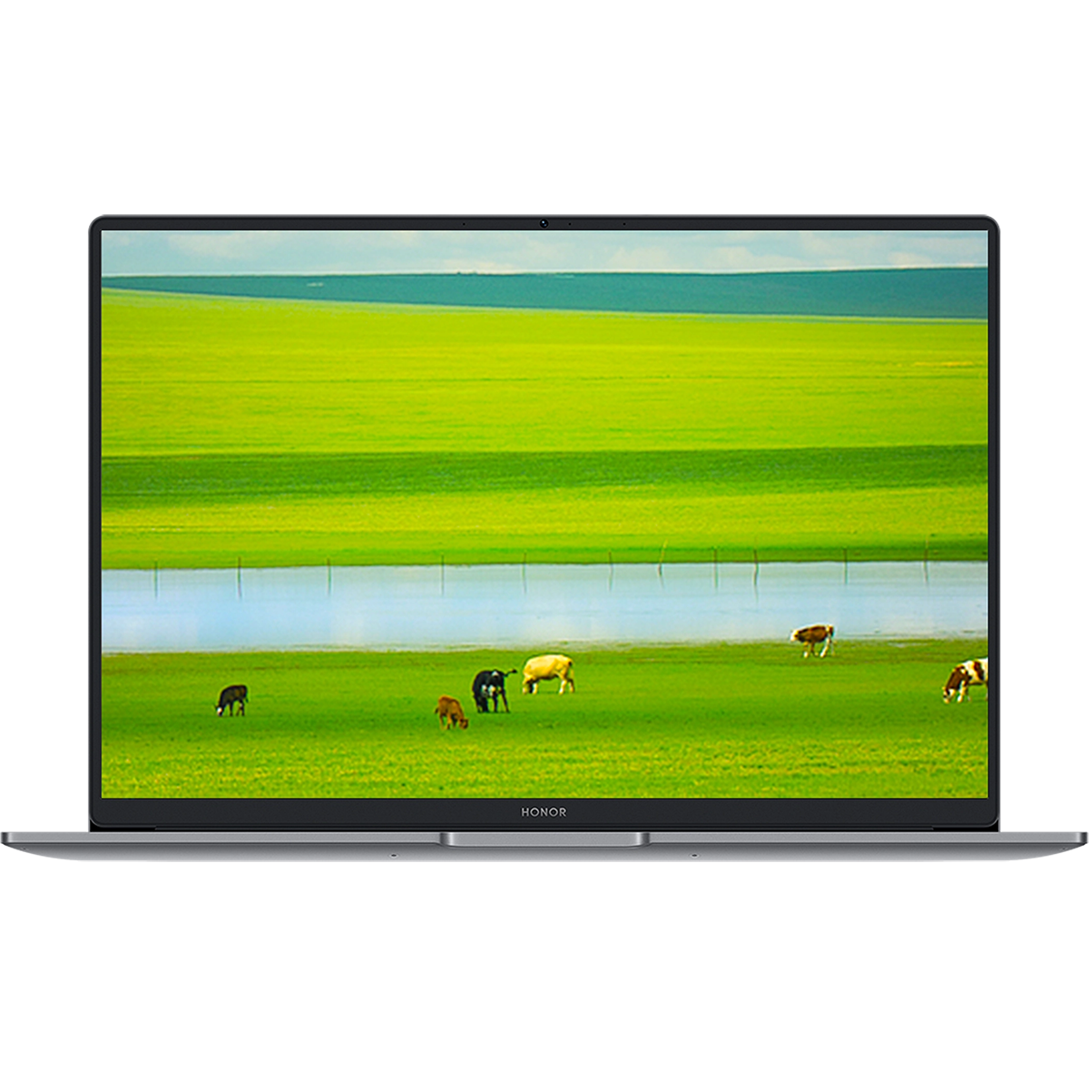 Ноутбук Honor MagicBook X14 Plus 2025 FermiB-5611 Core 5 220H 16Gb SSD1Tb Intel Iris Xe graphics 14"