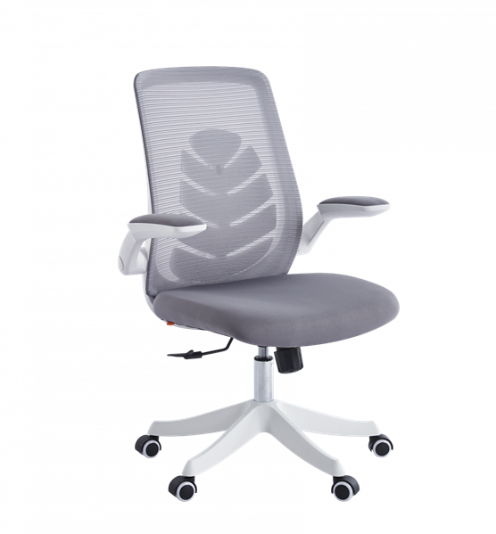 Офисное кресло Chairman CH565 белый пластик, серый