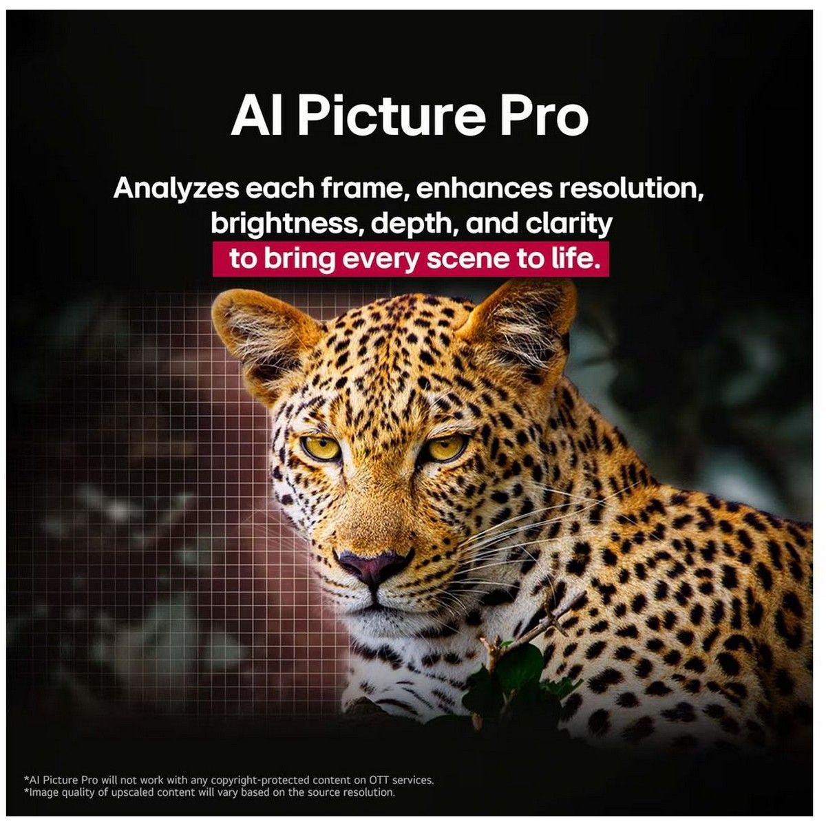 Телевизор OLED LG 48" OLED48C5RLA.ARUG черный/серебристый 4K Ultra HD 120Hz DVB-T DVB-T2 DVB-C DVB-S