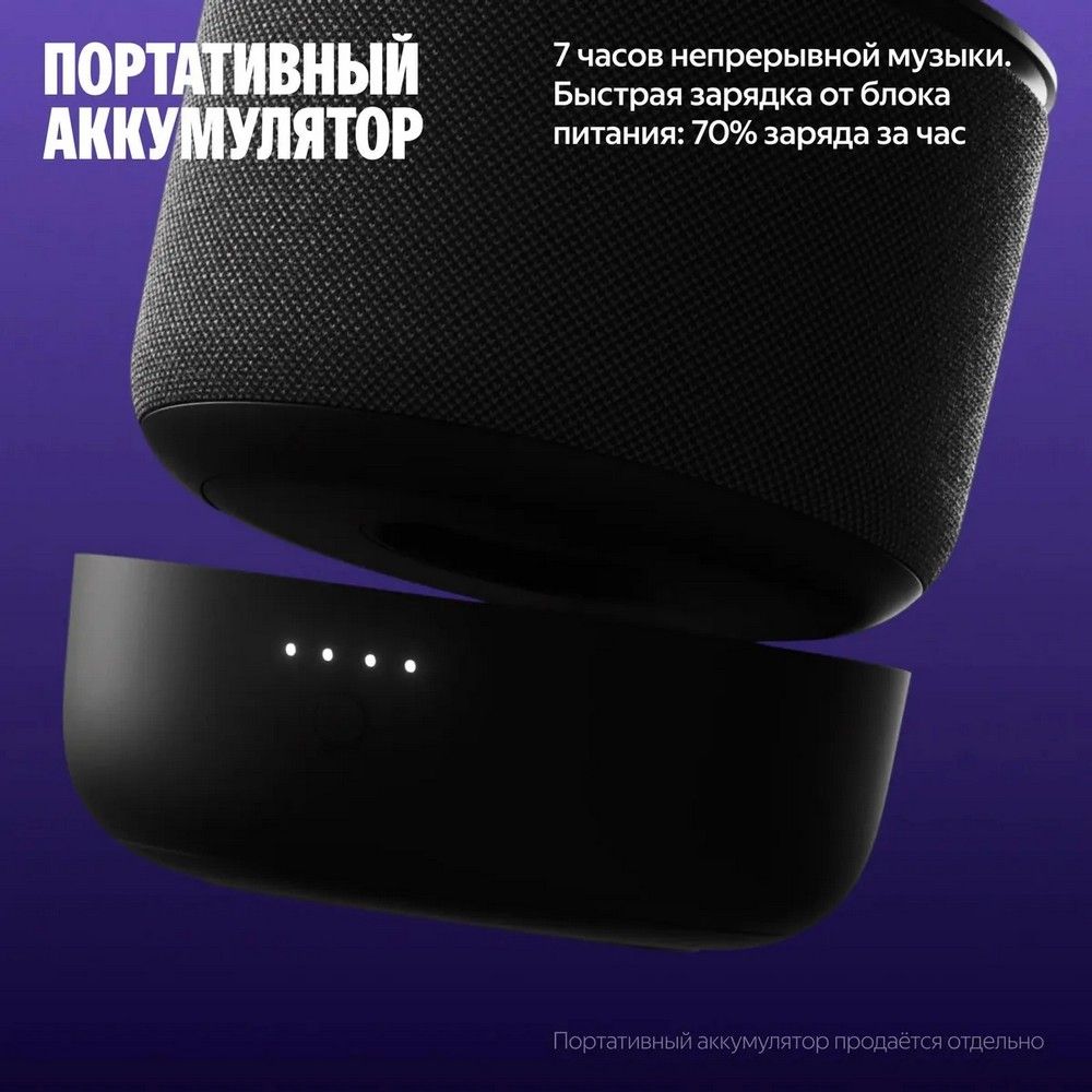 Умная колонка Yandex Станция Мини 3 Про Алиса черный 18W 2.0 BT/Wi-Fi (YNDX-00059BLK)