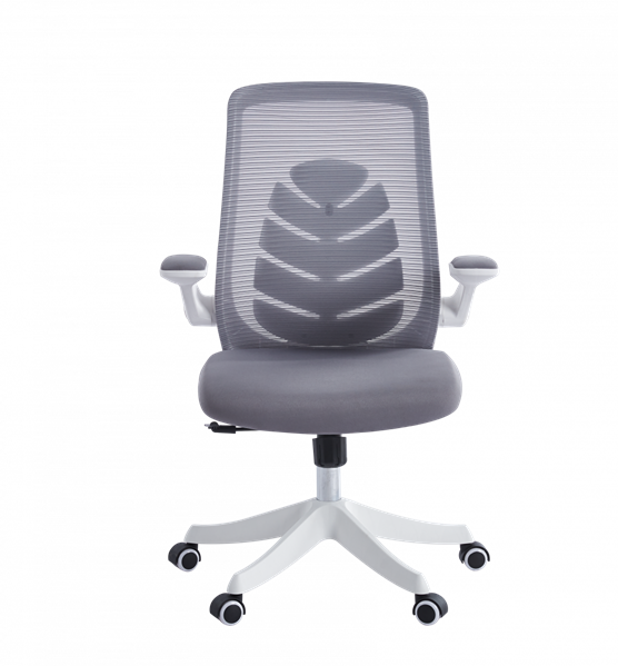 Офисное кресло Chairman CH565 белый пластик, серый